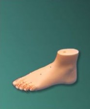 foot_model5