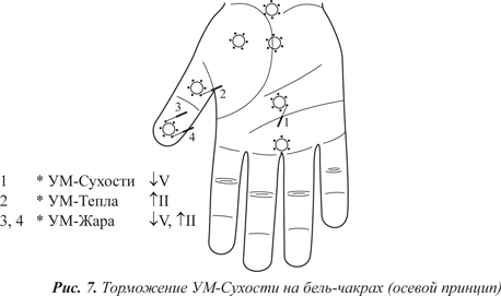 Су джок академия сайт. Бель чакры Су Джок. Бель меридианы Су Джок. Чакры в Су Джок терапии. Чакры в Су Джок схема.