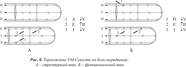 Бель меридианы Су Джок. Бель меридианы схема. Названия меридианов Су Джок. Бель меридианы Су Джок 6 ки.